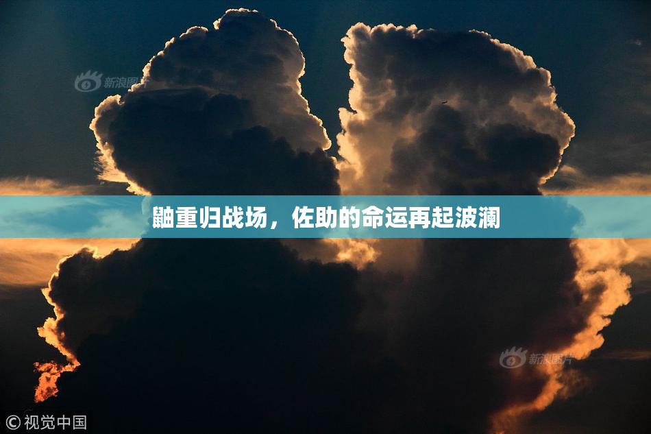 鼬重归战场，佐助的命运再起波澜