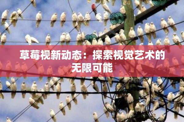 草莓视新动态：探索视觉艺术的无限可能