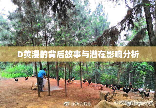 D黄漫的背后故事与潜在影响分析