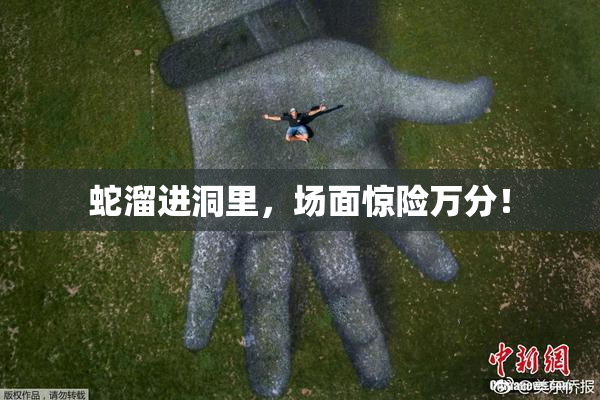 蛇溜进洞里，场面惊险万分！