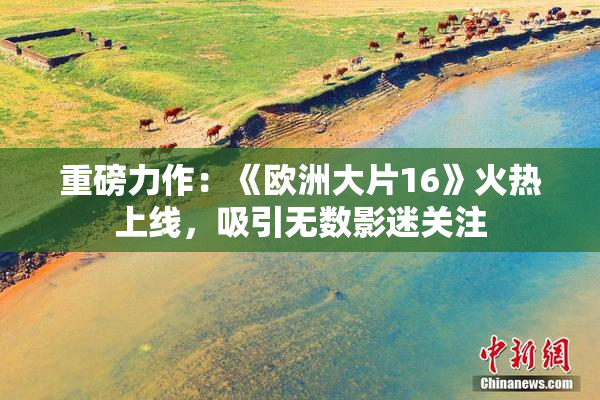 重磅力作：《欧洲大片16》火热上线，吸引无数影迷关注