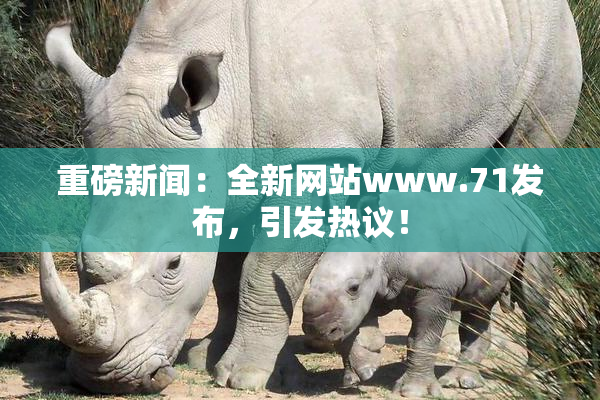 重磅新闻：全新网站www.71发布，引发热议！
