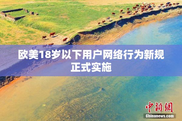 欧美18岁以下用户网络行为新规正式实施
