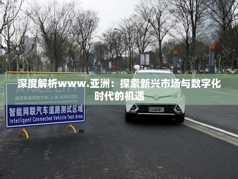 深度解析www.亚洲：探索新兴市场与数字化时代的机遇