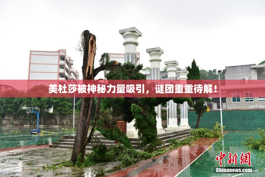美杜莎被神秘力量吸引，谜团重重待解！