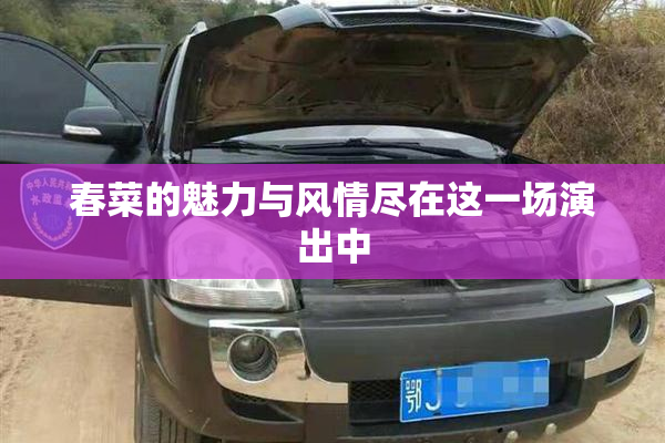 春菜的魅力与风情尽在这一场演出中