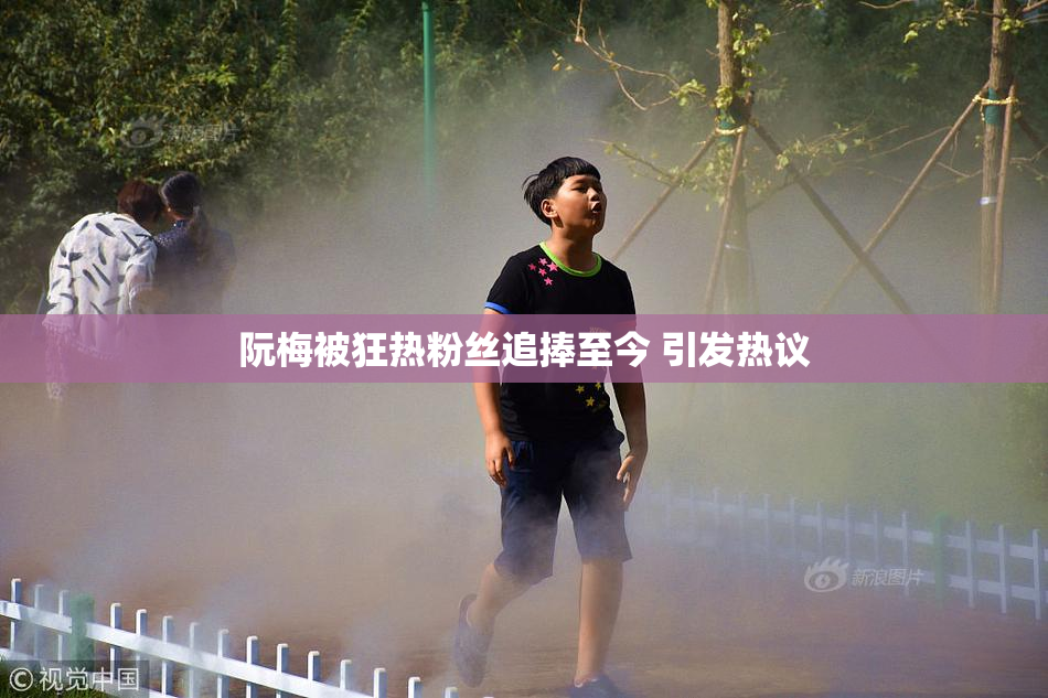 阮梅被狂热粉丝追捧至今 引发热议