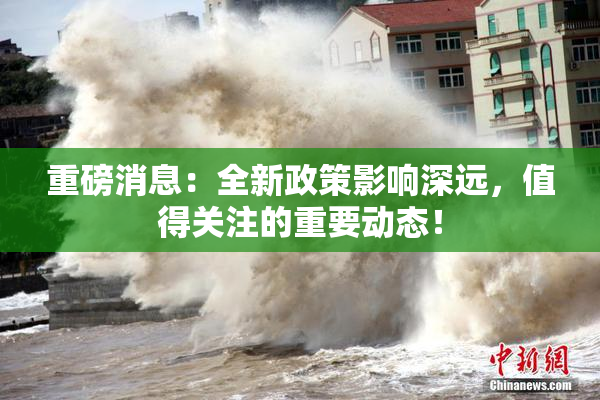 重磅消息：全新政策影响深远，值得关注的重要动态！