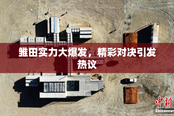 雏田实力大爆发，精彩对决引发热议