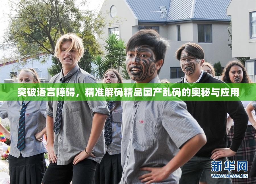 突破语言障碍，精准解码精品国产乱码的奥秘与应用