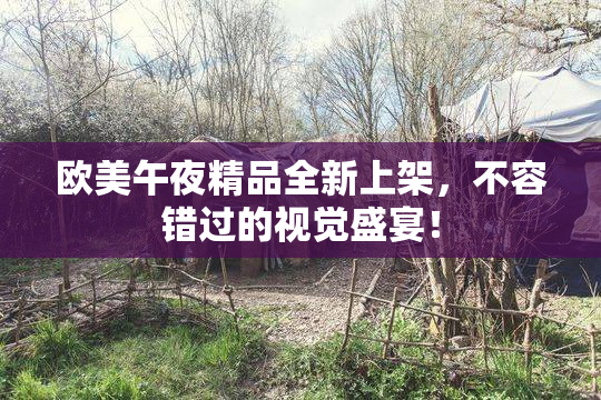欧美午夜精品全新上架，不容错过的视觉盛宴！