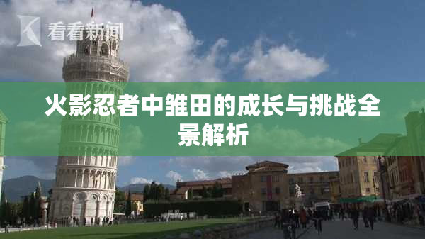 火影忍者中雏田的成长与挑战全景解析