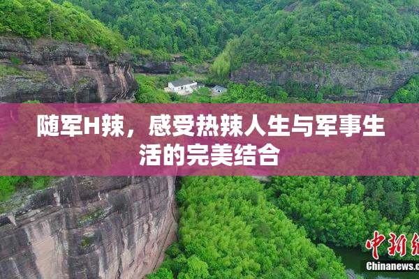 随军H辣，感受热辣人生与军事生活的完美结合
