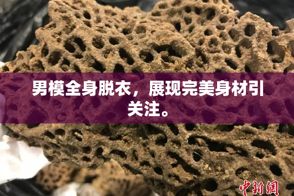 男模全身脱衣，展现完美身材引关注。