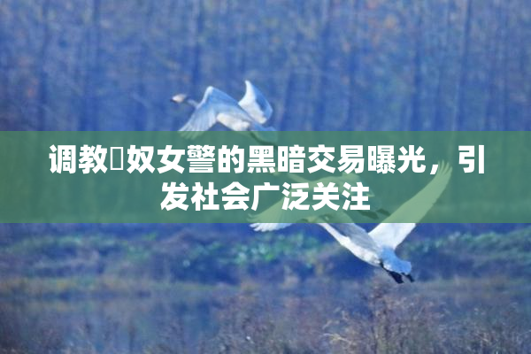 调教婬奴女警的黑暗交易曝光，引发社会广泛关注
