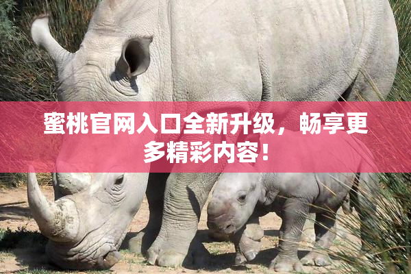 蜜桃官网入口全新升级，畅享更多精彩内容！