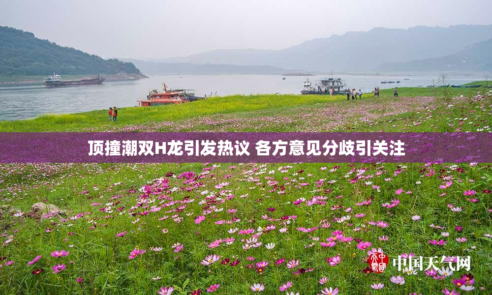 顶撞潮双H龙引发热议 各方意见分歧引关注