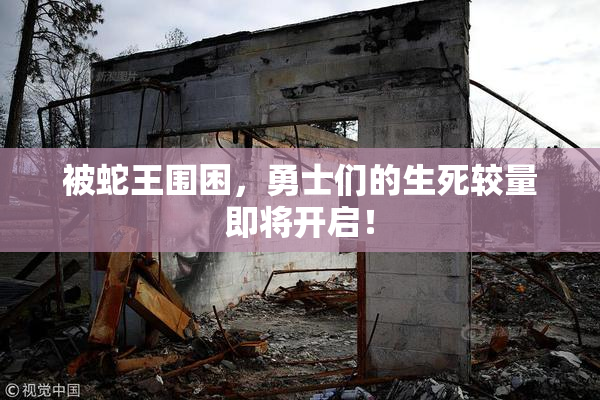被蛇王围困，勇士们的生死较量即将开启！