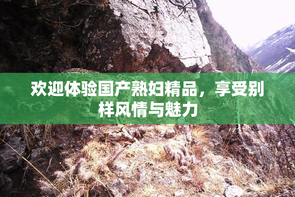 欢迎体验国产熟妇精品，享受别样风情与魅力