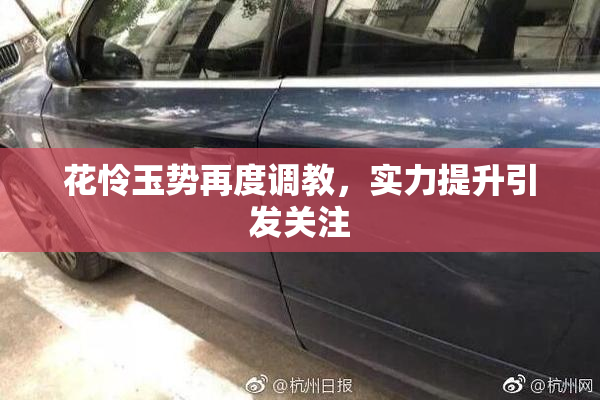 花怜玉势再度调教，实力提升引发关注