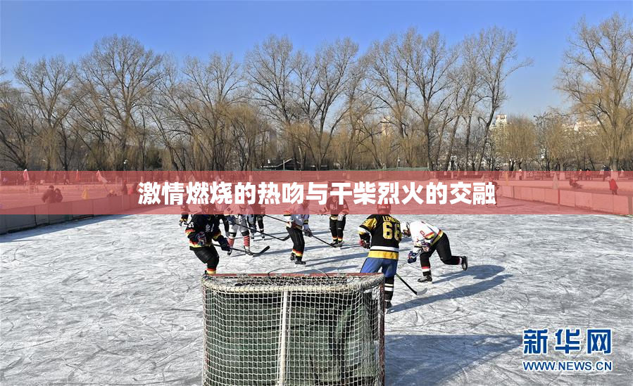 激情燃烧的热吻与干柴烈火的交融