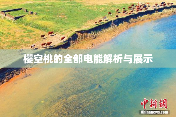 樱空桃的全部电能解析与展示