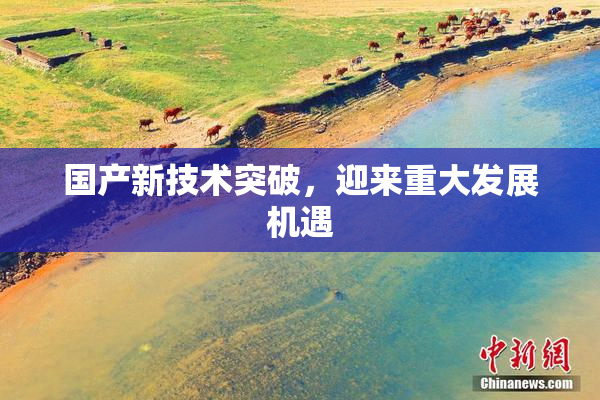 国产新技术突破，迎来重大发展机遇