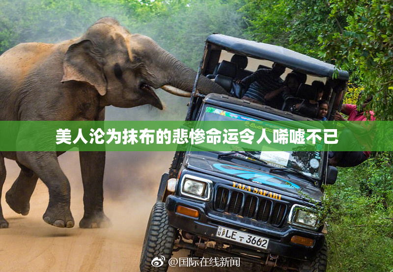 美人沦为抹布的悲惨命运令人唏嘘不已