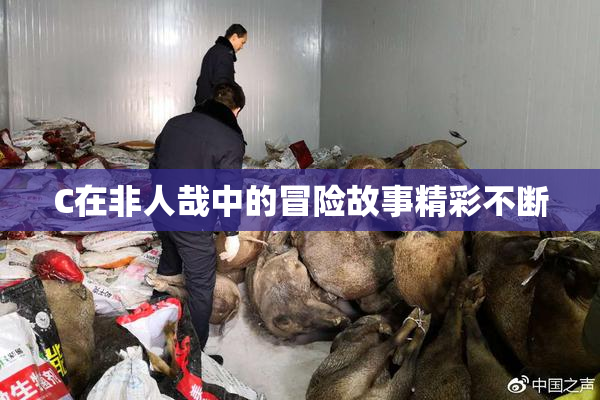 C在非人哉中的冒险故事精彩不断