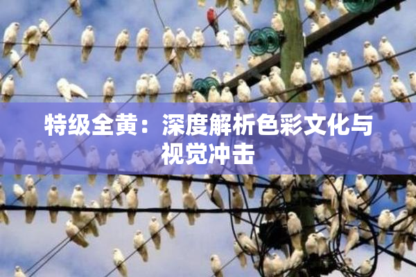 特级全黄：深度解析色彩文化与视觉冲击