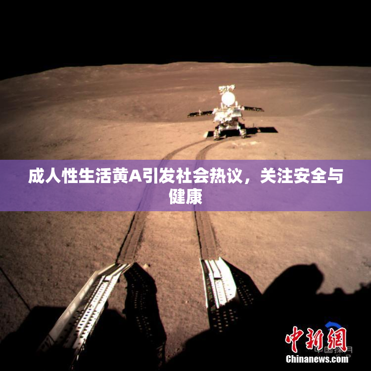 成人性生活黄A引发社会热议，关注安全与健康