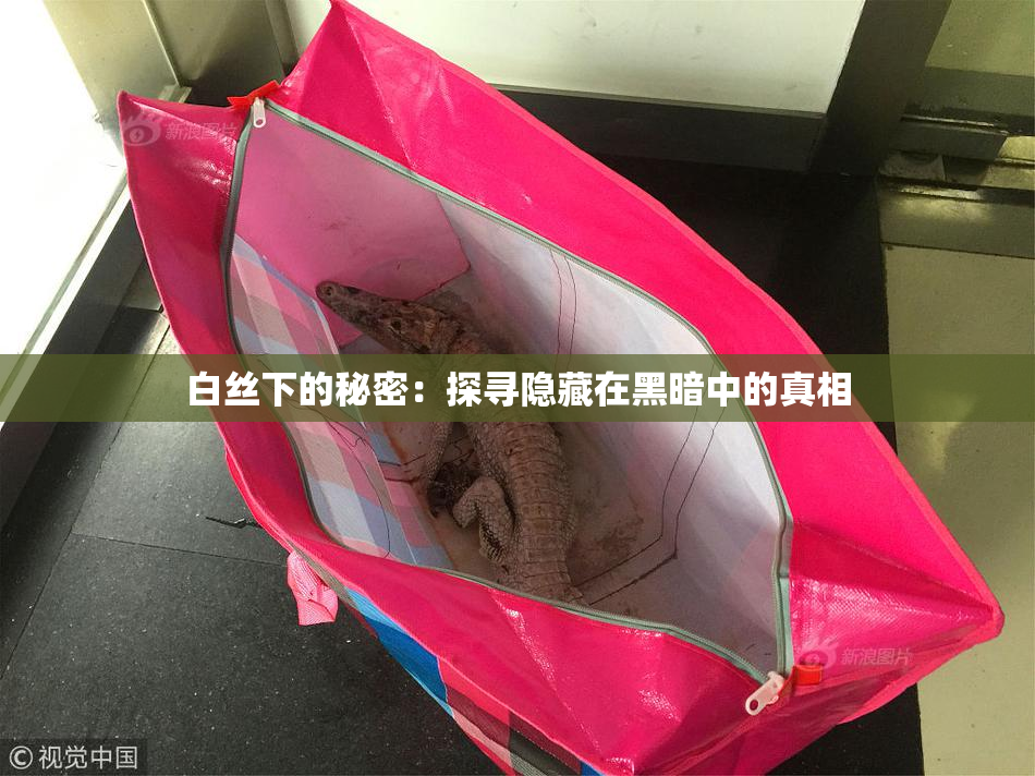 白丝下的秘密：探寻隐藏在黑暗中的真相