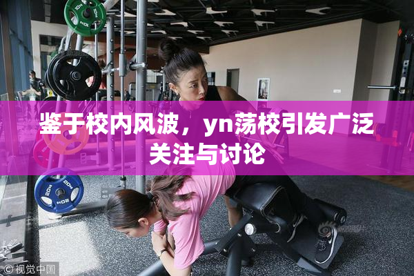鉴于校内风波，yn荡校引发广泛关注与讨论