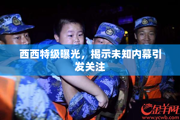 西西特级曝光，揭示未知内幕引发关注