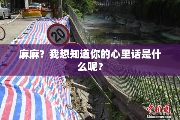 麻麻？我想知道你的心里话是什么呢？