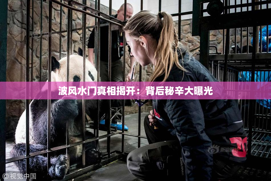 波风水门真相揭开：背后秘辛大曝光