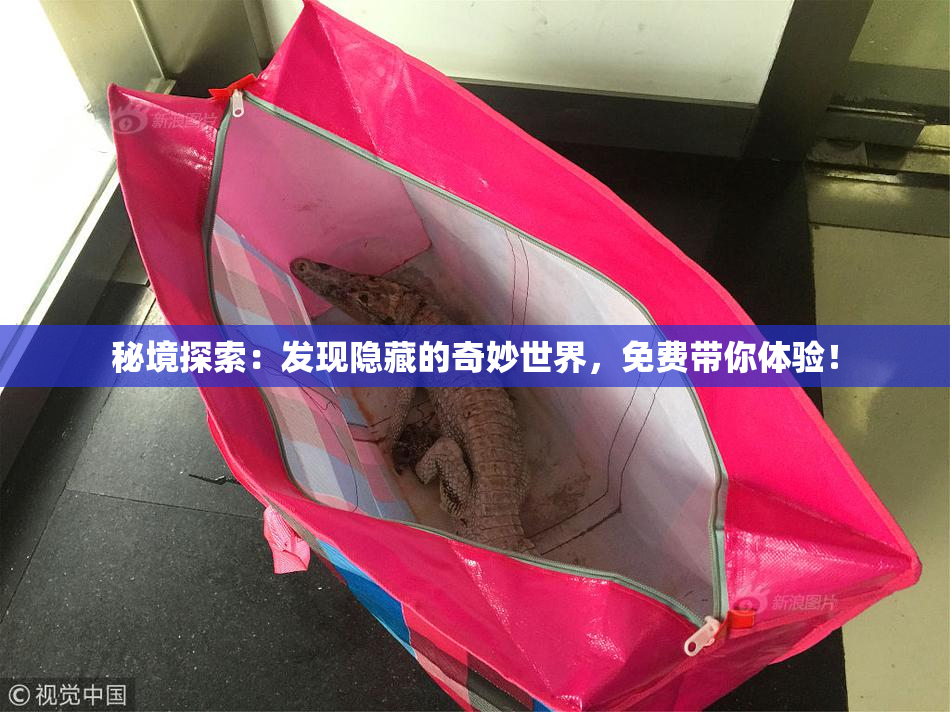 秘境探索：发现隐藏的奇妙世界，免费带你体验！