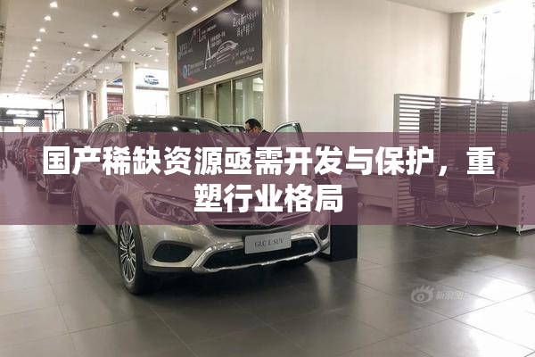 国产稀缺资源亟需开发与保护，重塑行业格局