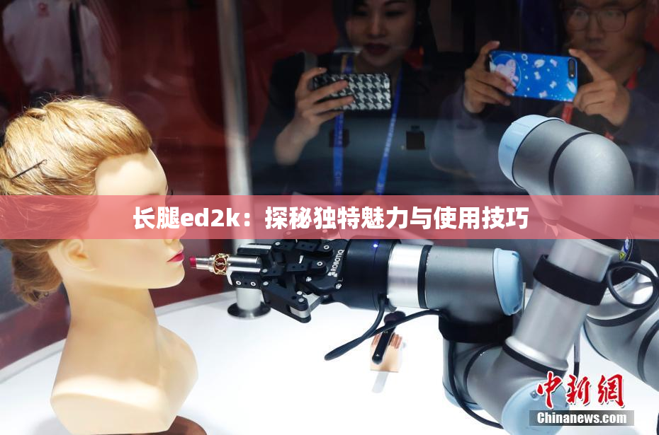长腿ed2k：探秘独特魅力与使用技巧