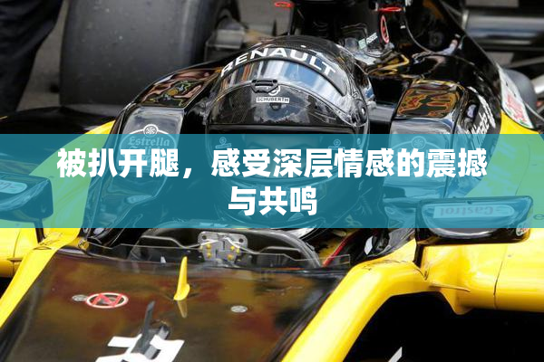 被扒开腿，感受深层情感的震撼与共鸣