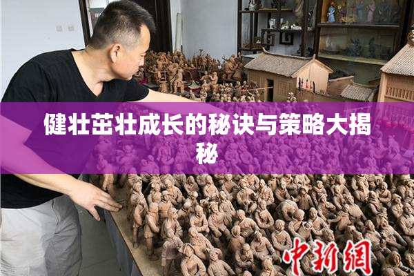 健壮茁壮成长的秘诀与策略大揭秘
