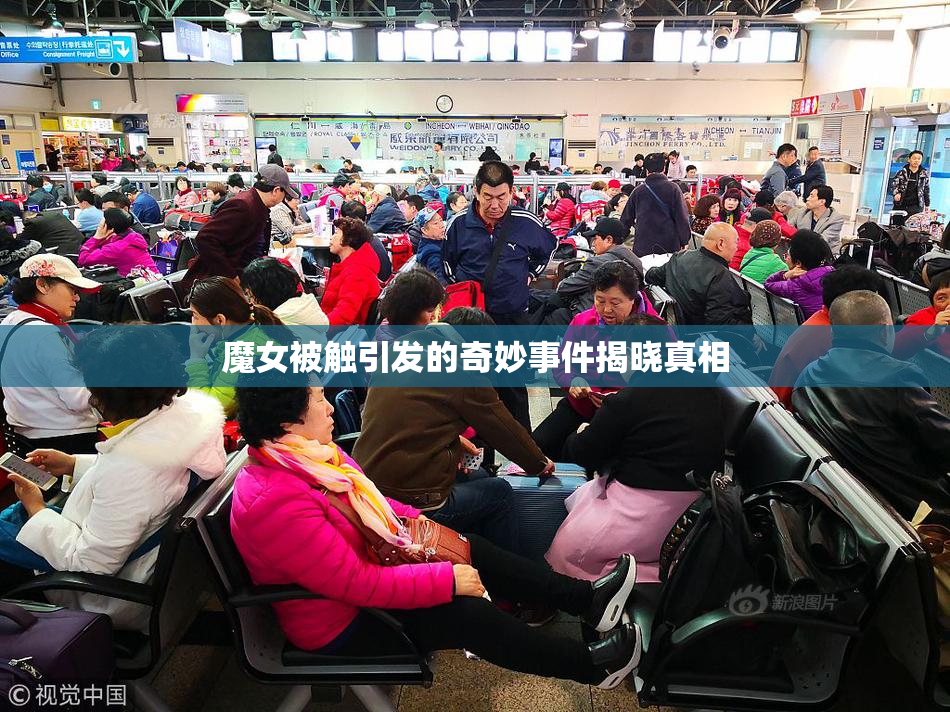 魔女被触引发的奇妙事件揭晓真相