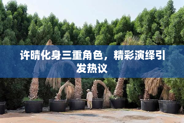 许晴化身三重角色，精彩演绎引发热议