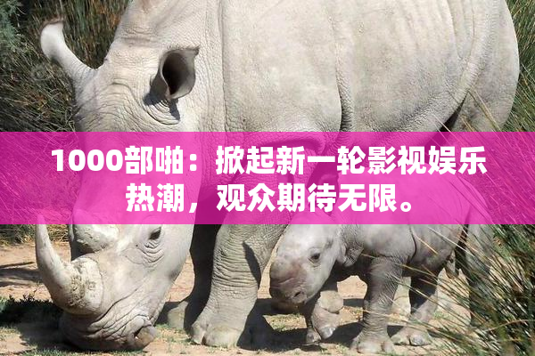 1000部啪：掀起新一轮影视娱乐热潮，观众期待无限。