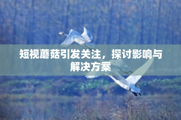 短视蘑菇引发关注，探讨影响与解决方案