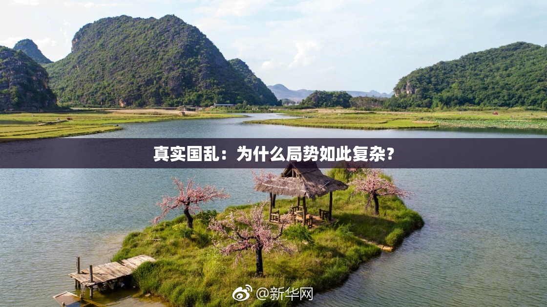 真实国乱：为什么局势如此复杂？