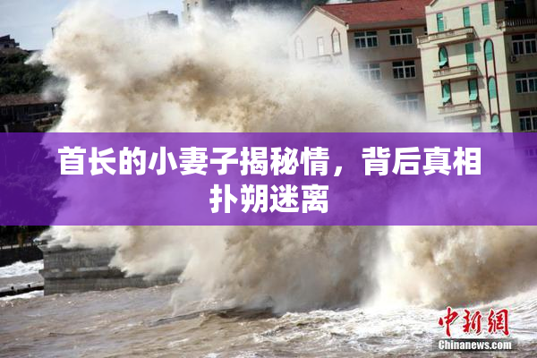 首长的小妻子揭秘情，背后真相扑朔迷离