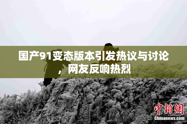 国产91变态版本引发热议与讨论，网友反响热烈