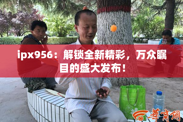ipx956：解锁全新精彩，万众瞩目的盛大发布！