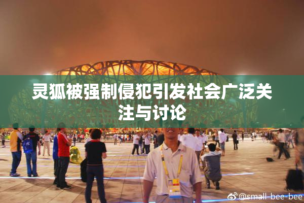 灵狐被强制侵犯引发社会广泛关注与讨论